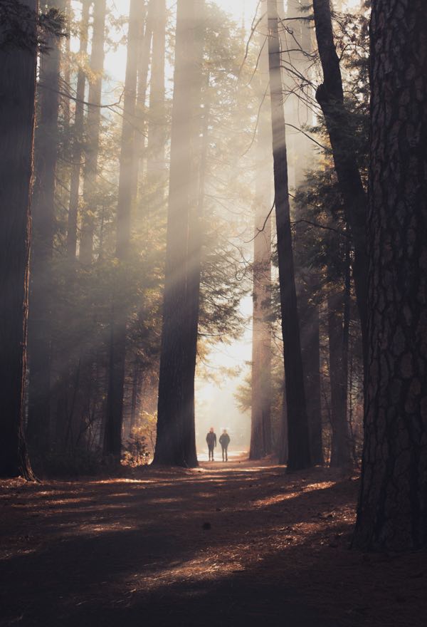 casey horner D4TooCIEyF4 unsplash "Votre clé pour des vacances parfaites à Porto-Vecchio."